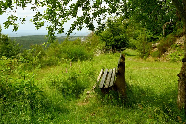 不仅保证了 不仅保证了