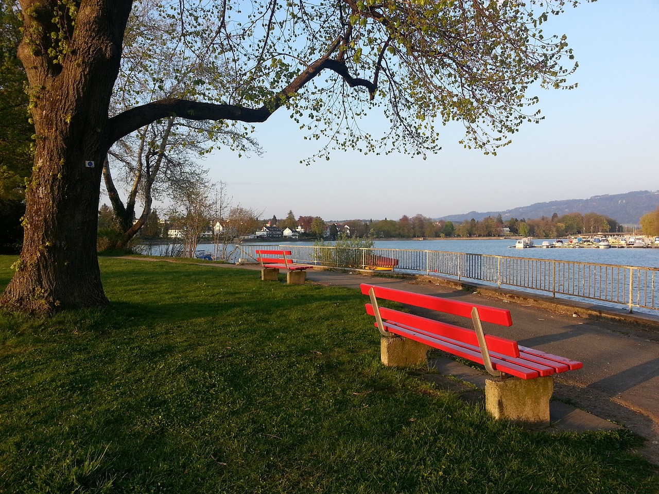 些许无奈 些许无奈